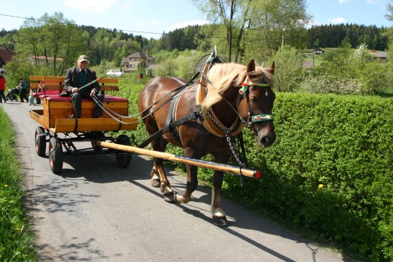 Kosk taxi.